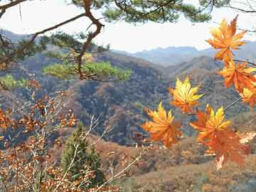 达居村天气预报更新通知